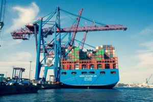 Optimizing Ocean Freight Logistics for Modern Freight Forwarders