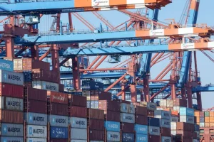 Optimizing Ocean Freight Logistics for Modern Freight Forwarders