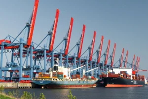 Optimizing Freight Forwarding Financial Operations