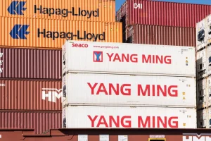 Why a Customer Portal is Essential for Modern Freight Forwarding Success