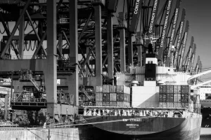Mastering Modern Shipping and Tracking for Freight Forwarders